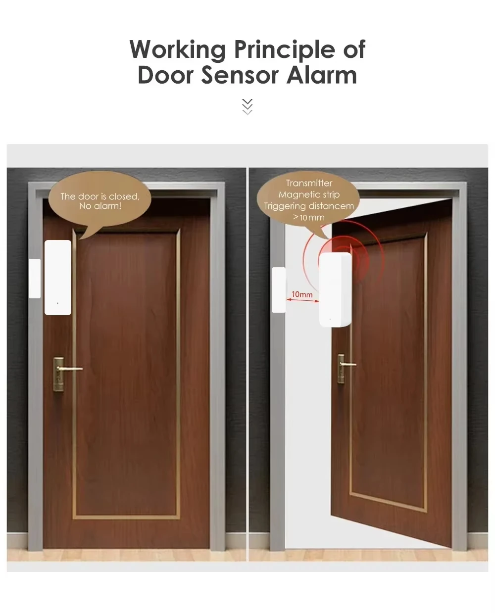 Tuya Zigbee/WiFi مستشعر نافذة  - مراجعة Zigbee Gateway وسعره